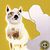 LOYAL COMPANION EMOTE