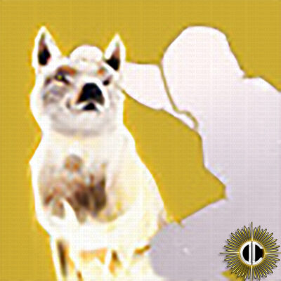 LOYAL COMPANION EMOTE